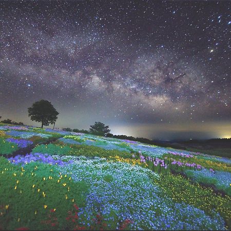 くじゅう花公園　キャンピングリゾート花と星 Kuju Exterior foto