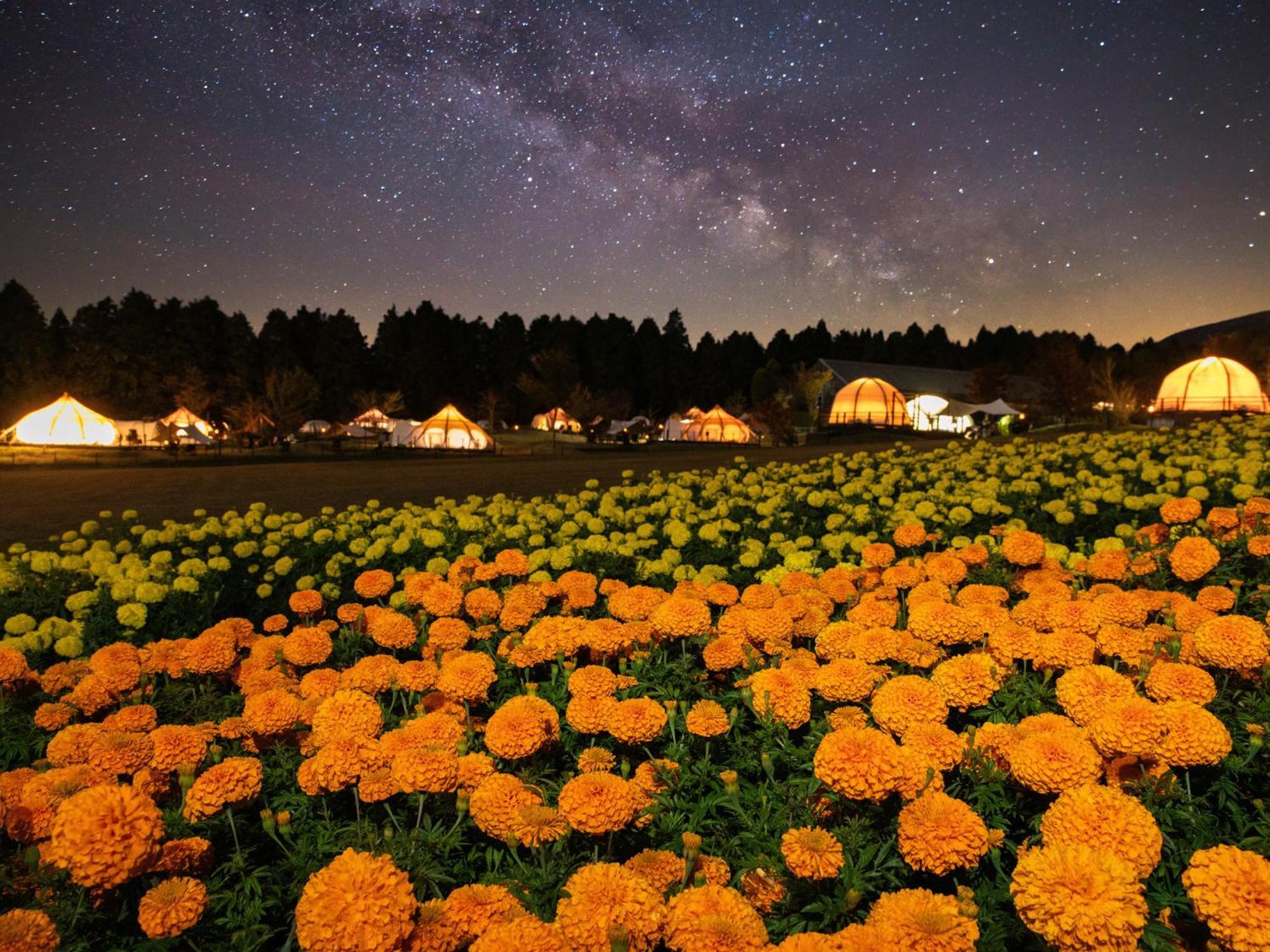 くじゅう花公園　キャンピングリゾート花と星 Kuju Exterior foto
