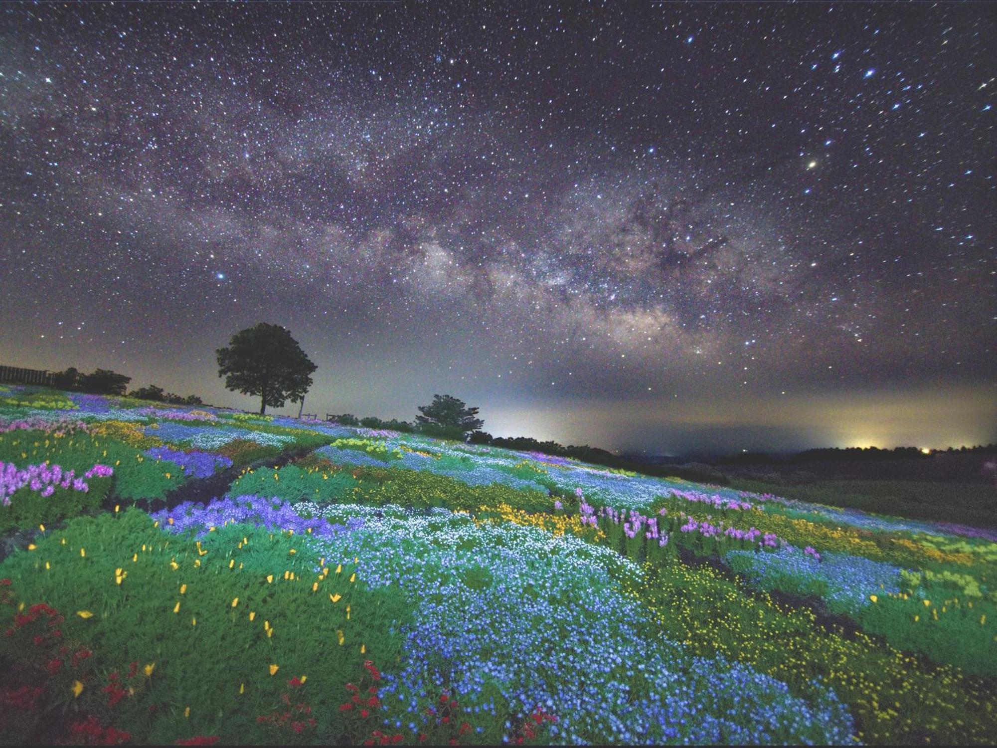 くじゅう花公園　キャンピングリゾート花と星 Kuju Exterior foto