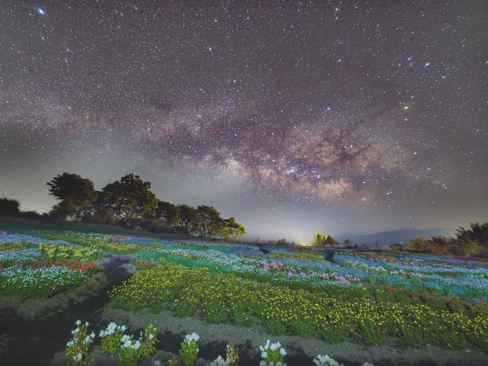 くじゅう花公園　キャンピングリゾート花と星 Kuju Exterior foto