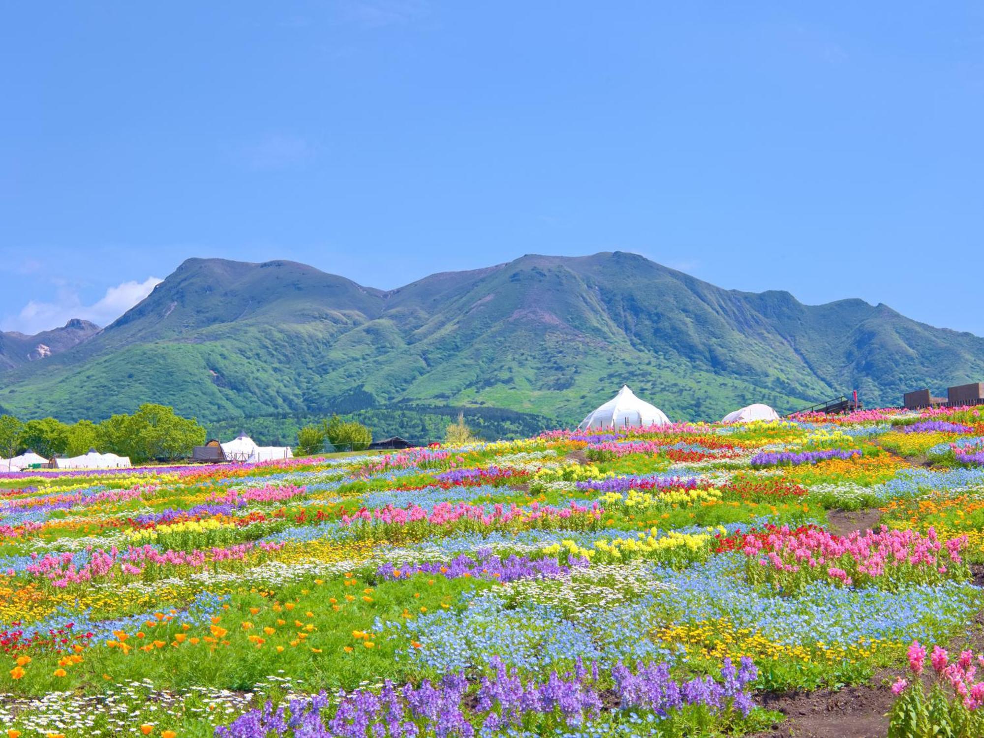 くじゅう花公園　キャンピングリゾート花と星 Kuju Exterior foto