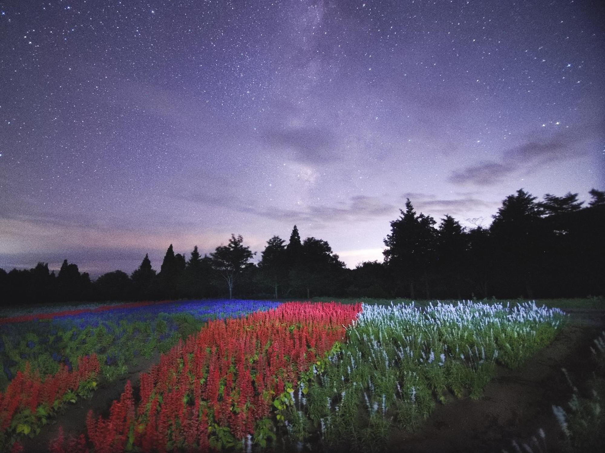 くじゅう花公園　キャンピングリゾート花と星 Kuju Exterior foto
