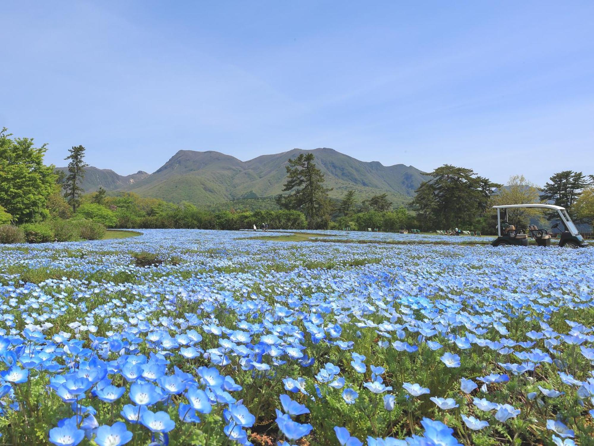 くじゅう花公園　キャンピングリゾート花と星 Kuju Exterior foto