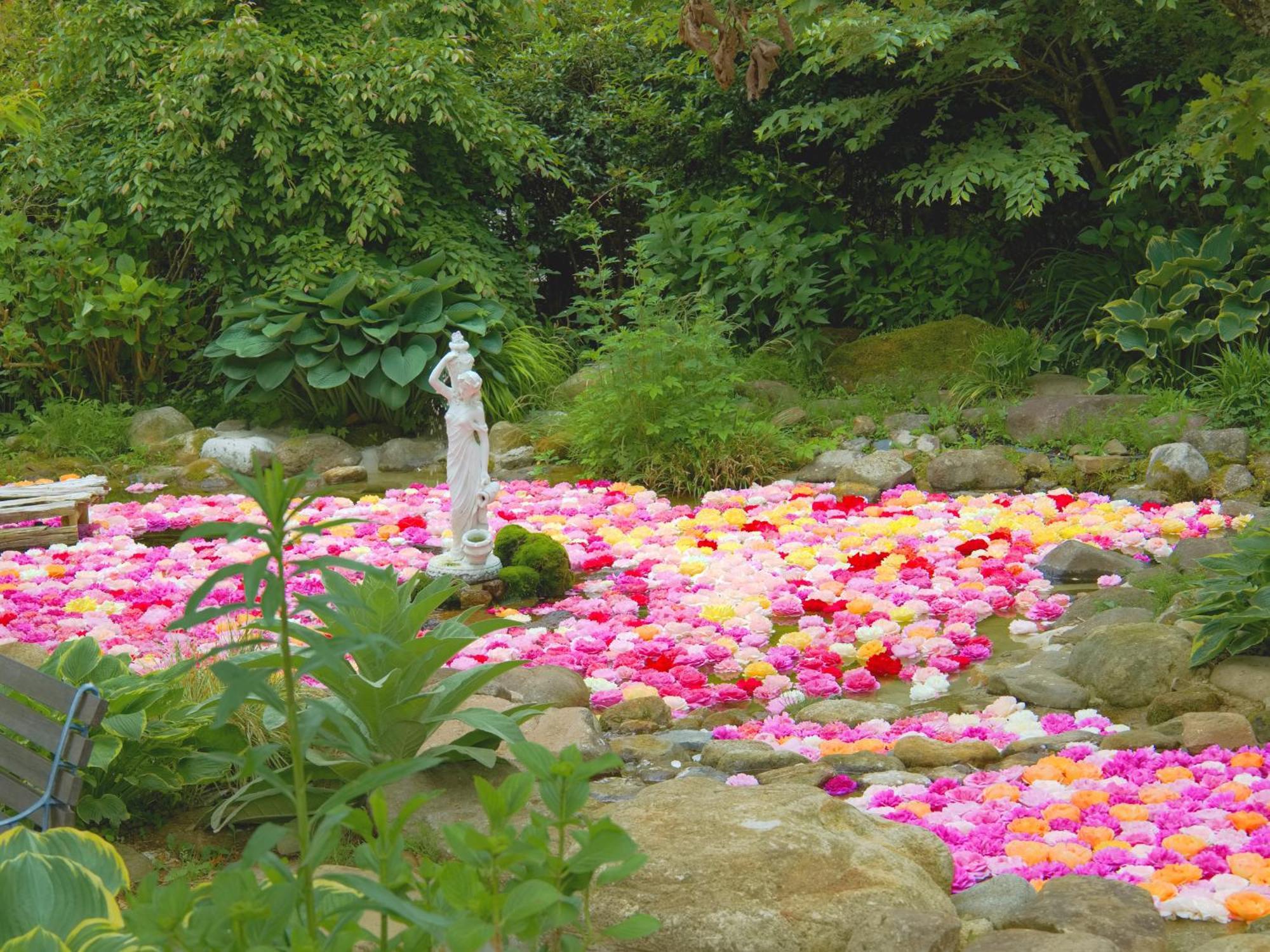 くじゅう花公園　キャンピングリゾート花と星 Kuju Exterior foto