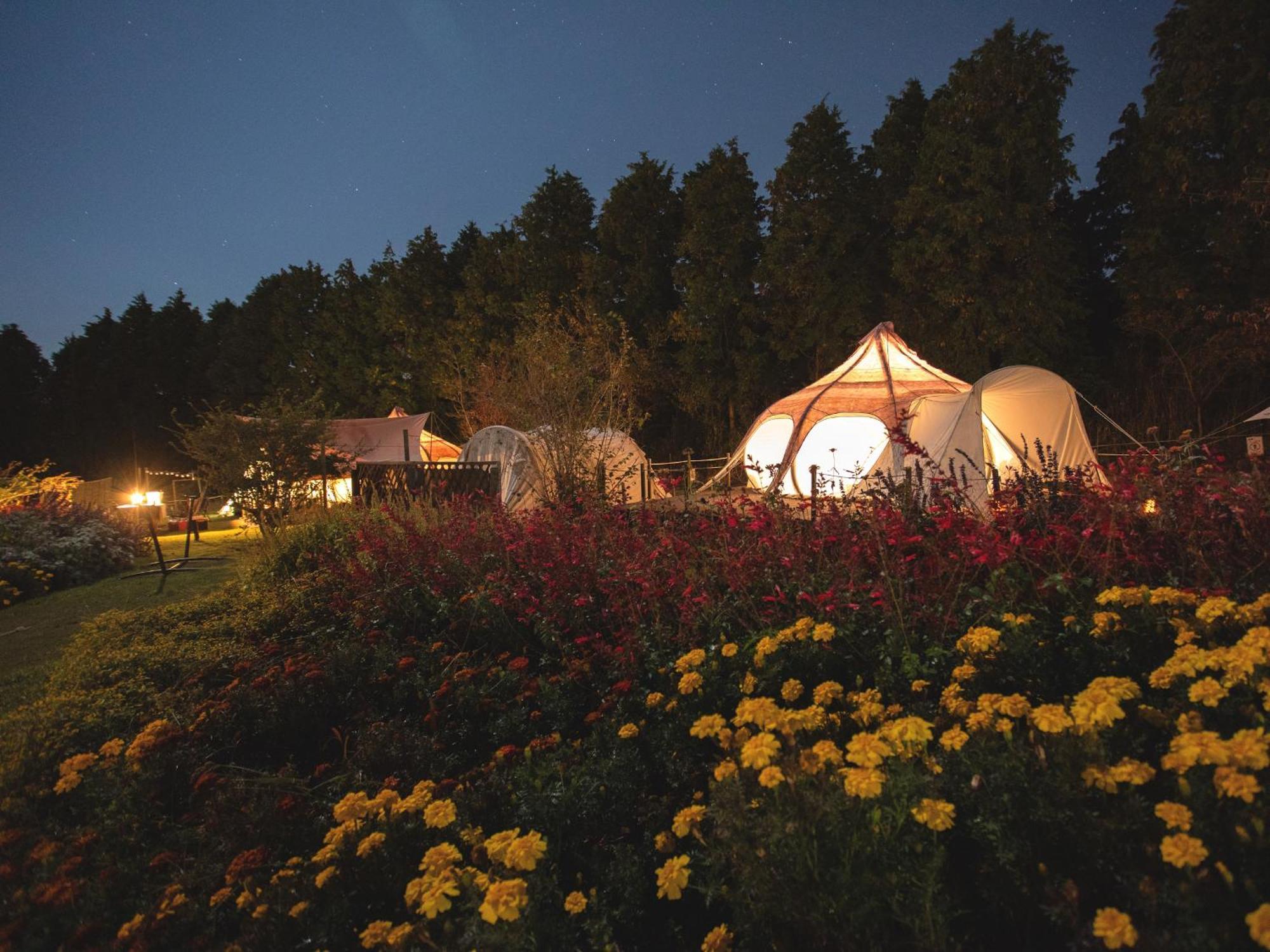 くじゅう花公園　キャンピングリゾート花と星 Kuju Exterior foto