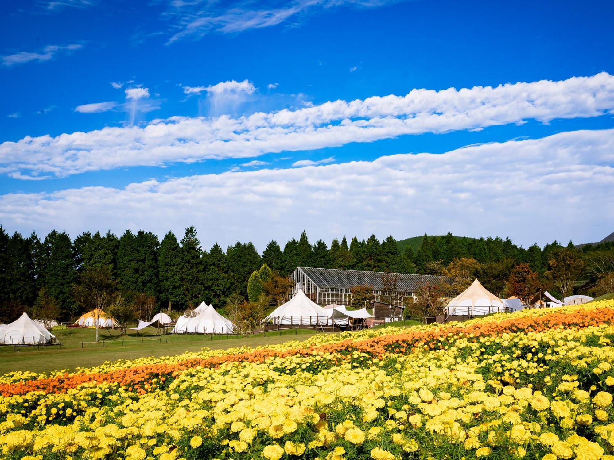 くじゅう花公園　キャンピングリゾート花と星 Kuju Exterior foto