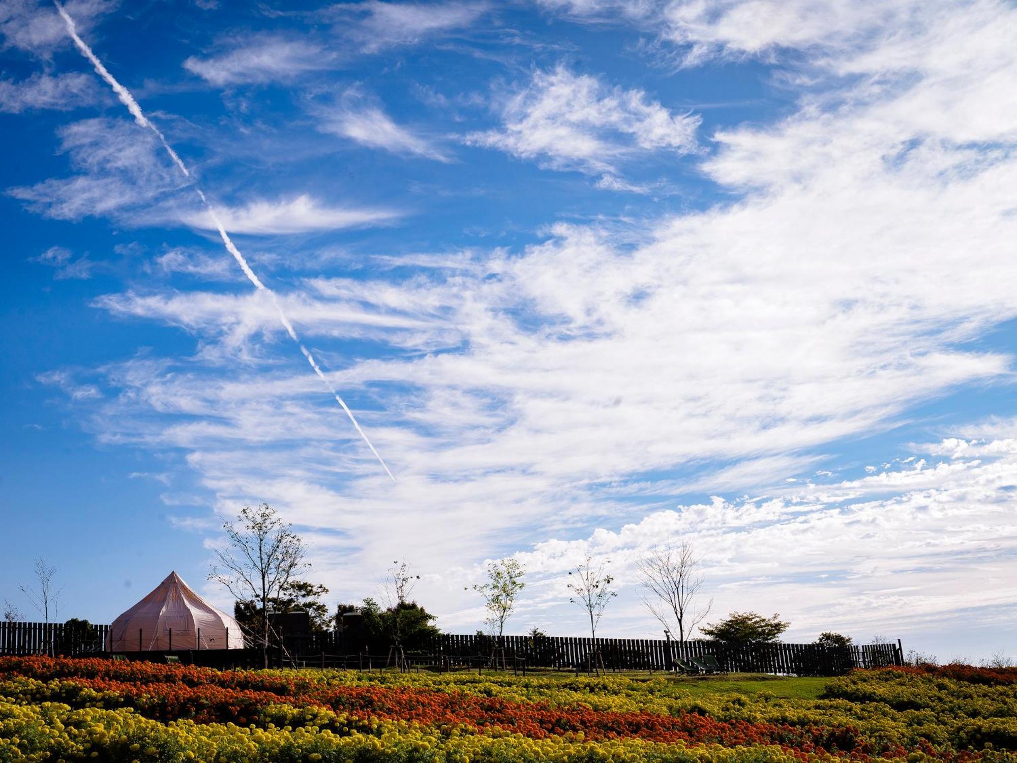 くじゅう花公園　キャンピングリゾート花と星 Kuju Exterior foto
