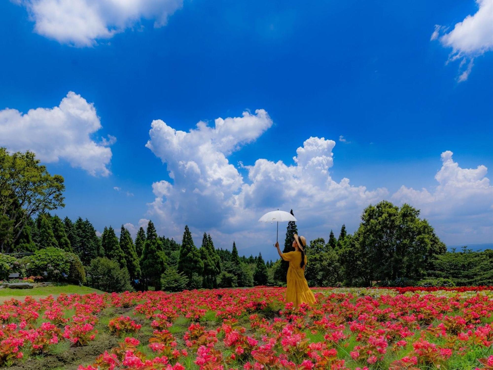 くじゅう花公園　キャンピングリゾート花と星 Kuju Exterior foto