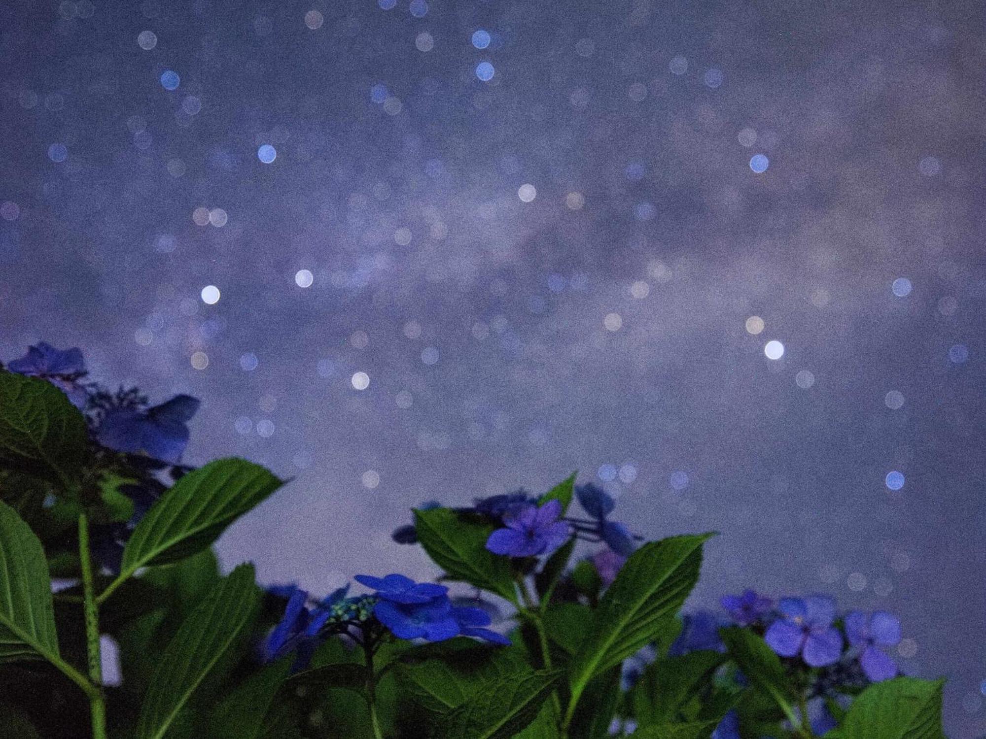 くじゅう花公園　キャンピングリゾート花と星 Kuju Exterior foto