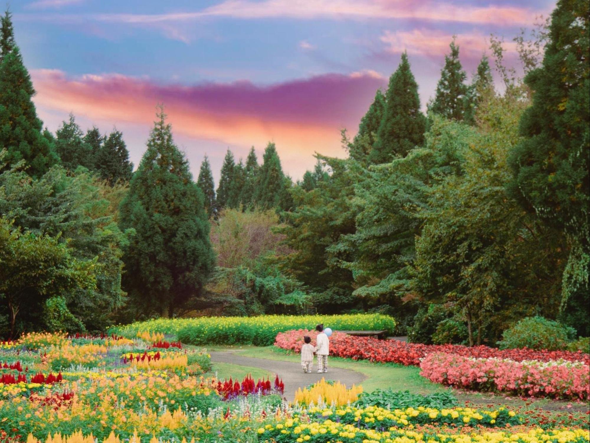 くじゅう花公園　キャンピングリゾート花と星 Kuju Exterior foto